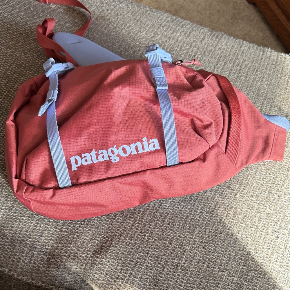 Patagonia Salmon Pink sling back  Pack